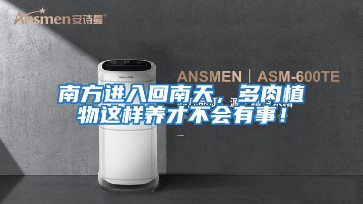 南方進(jìn)入回南天，多肉植物這樣養才不會(huì )有事！