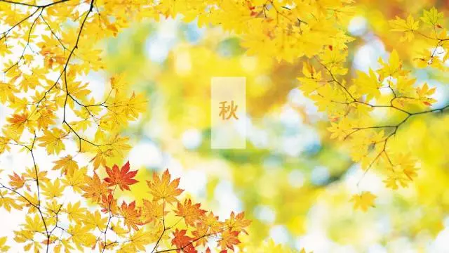 一定要除濕的10大領(lǐng)域_重復