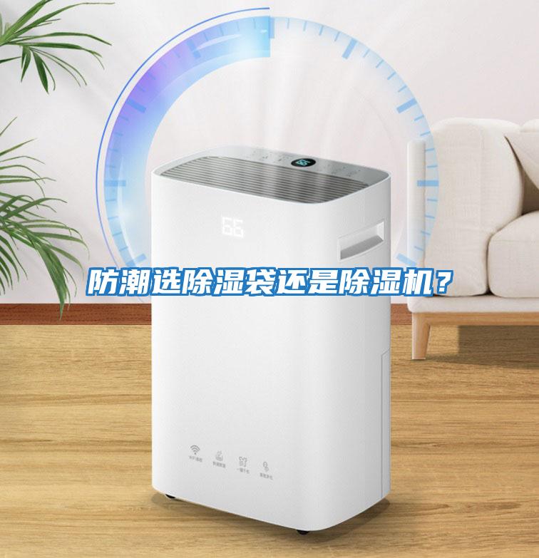 防潮選除濕袋還是除濕機？