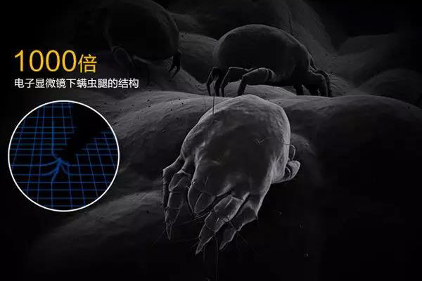 螨蟲(chóng)高發(fā)季，家用除濕機除螨有妙計！_重復