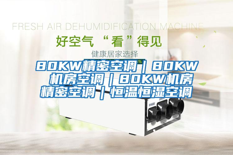 80KW精密空調｜80KW 機房空調｜80KW機房精密空調｜恒溫恒濕空調