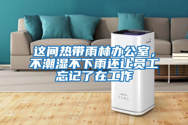 這間熱帶雨林辦公室，不潮濕不下雨還讓員工忘記了在工作