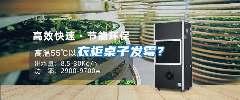 衣柜桌子發(fā)霉？