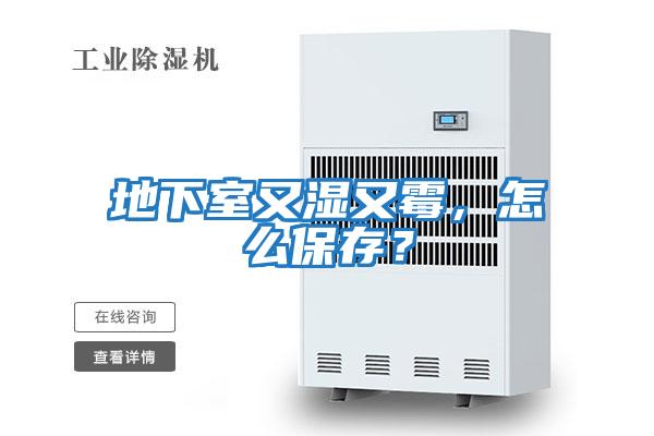 地下室又濕又霉，怎么保存？