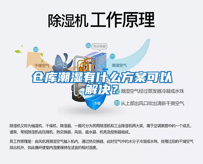 倉庫潮濕有什么方案可以解決？
