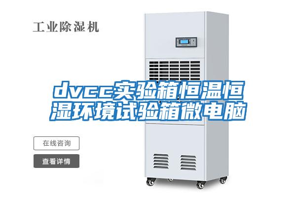 dvcc實(shí)驗箱恒溫恒濕環(huán)境試驗箱微電腦