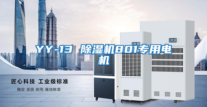 YY-13 除濕機801專(zhuān)用電機