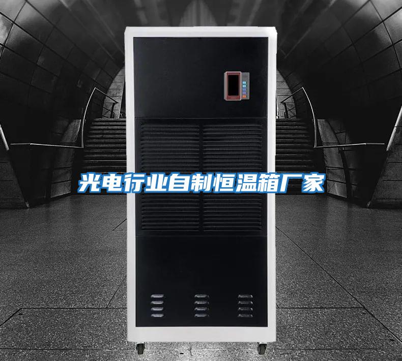 光電行業(yè)自制恒溫箱廠(chǎng)家