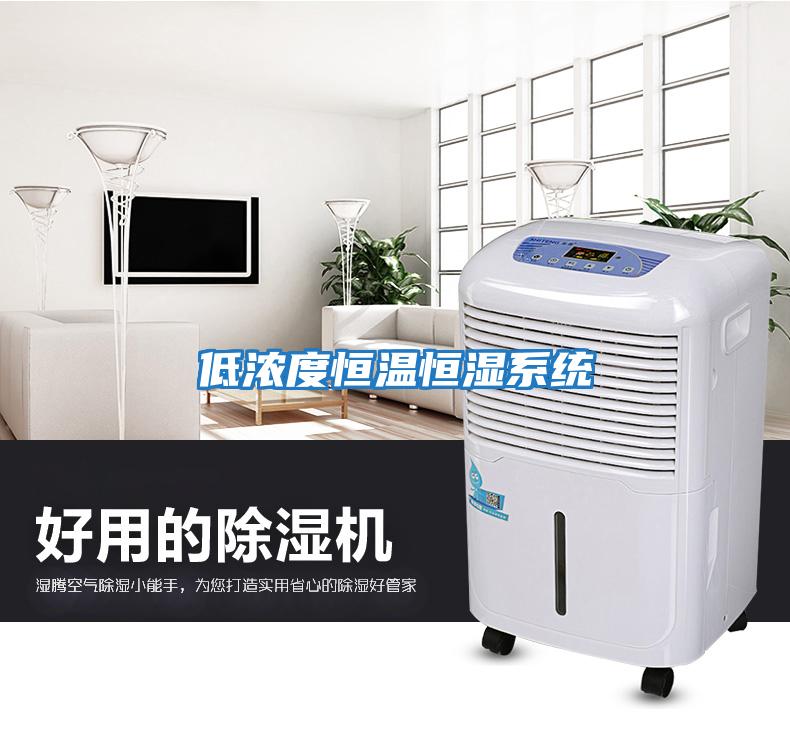 低濃度恒溫恒濕系統