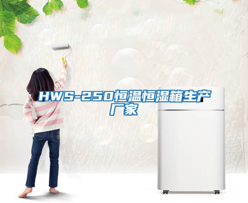 HWS-250恒溫恒濕箱生產(chǎn)廠(chǎng)家