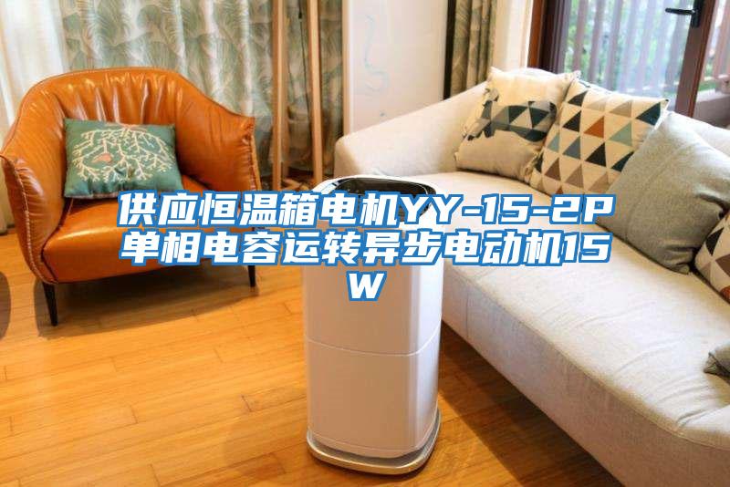 供應恒溫箱電機YY-15-2P單相電容運轉異步電動(dòng)機15W