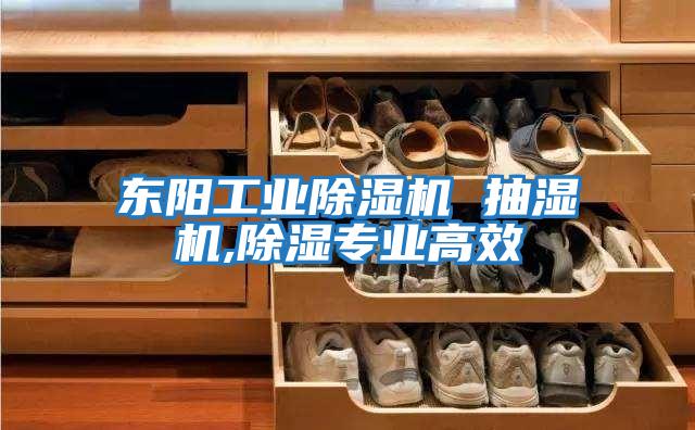 東陽(yáng)工業(yè)除濕機 抽濕機,除濕專(zhuān)業(yè)高效