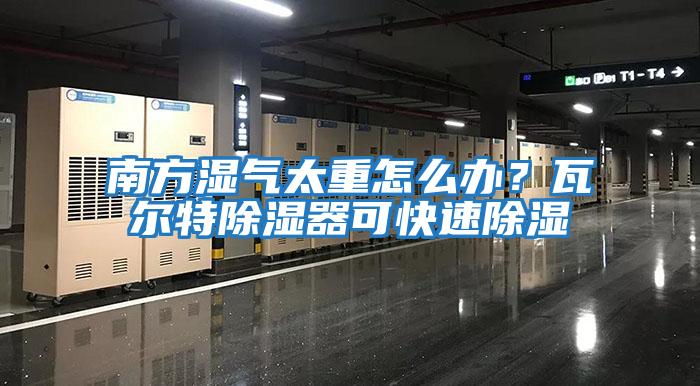 南方濕氣太重怎么辦？瓦爾特除濕器可快速除濕