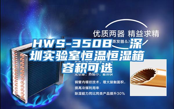 HWS-350B  深圳實(shí)驗室恒溫恒濕箱容積可選