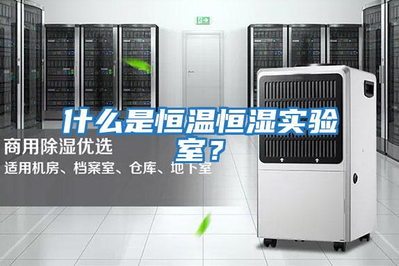 什么是恒溫恒濕實(shí)驗室？