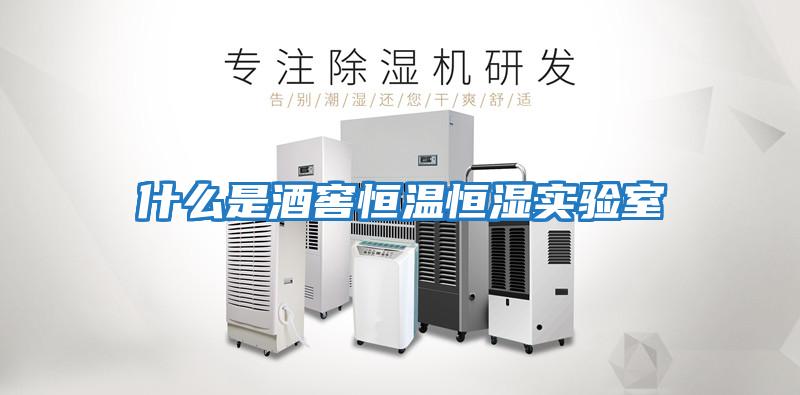 什么是酒窖恒溫恒濕實(shí)驗室