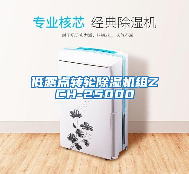 低露點(diǎn)轉輪除濕機組ZCH-25000