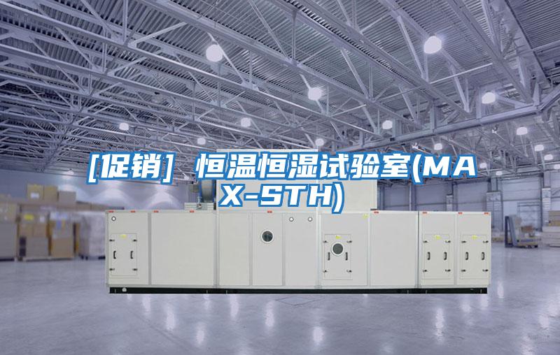 [促銷(xiāo)] 恒溫恒濕試驗室(MAX-STH)