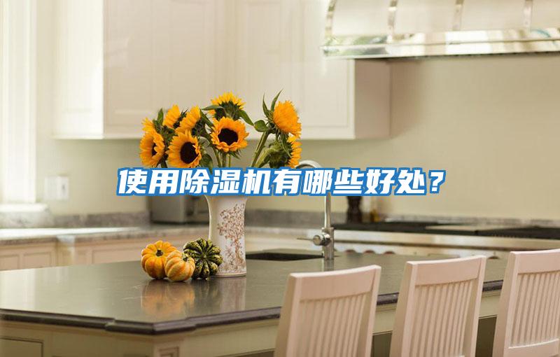 使用除濕機有哪些好處？
