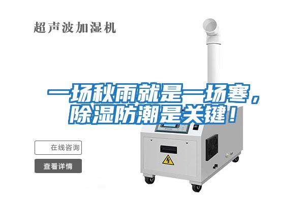 一場(chǎng)秋雨就是一場(chǎng)寒，除濕防潮是關(guān)鍵！
