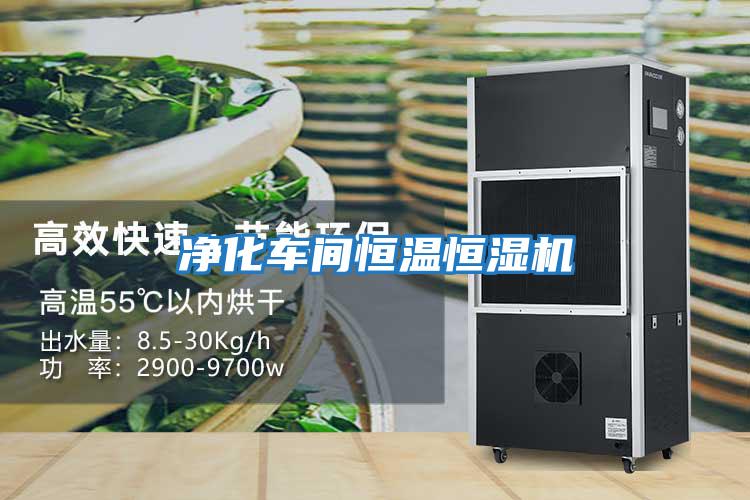 凈化車(chē)間恒溫恒濕機