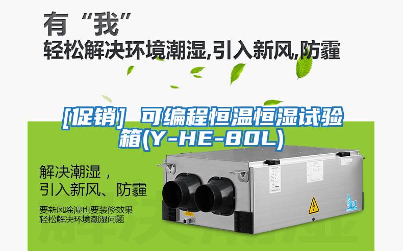 [促銷(xiāo)] 可編程恒溫恒濕試驗箱(Y-HE-80L)