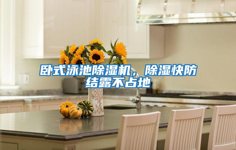 臥式泳池除濕機，除濕快防結露不占地