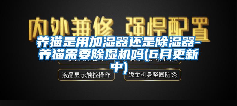 養貓是用加濕器還是除濕器-養貓需要除濕機嗎(6月更新中)