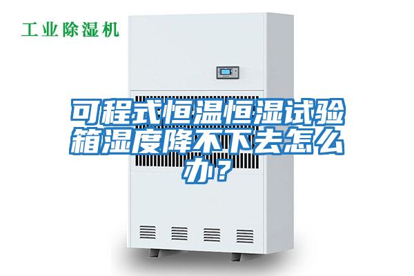 可程式恒溫恒濕試驗箱濕度降不下去怎么辦？
