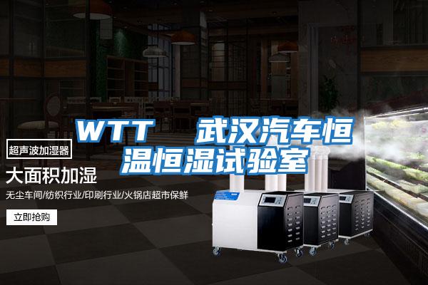 WTT  武漢汽車(chē)恒溫恒濕試驗室