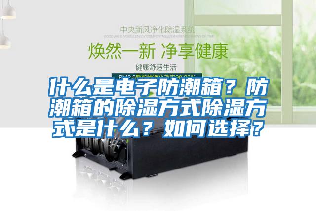 什么是電子防潮箱？防潮箱的除濕方式除濕方式是什么？如何選擇？