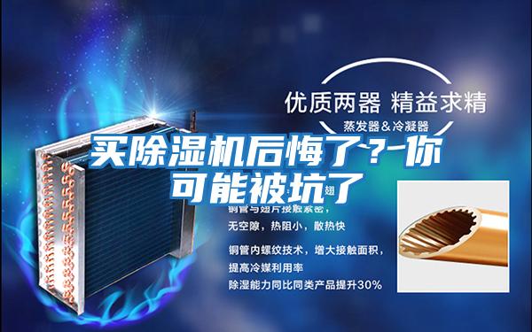買(mǎi)除濕機后悔了？你可能被坑了