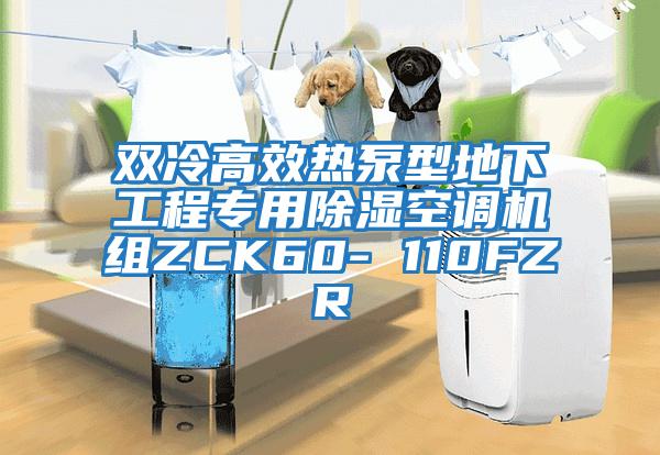 雙冷高效熱泵型地下工程專(zhuān)用除濕空調機組ZCK60- 110FZR