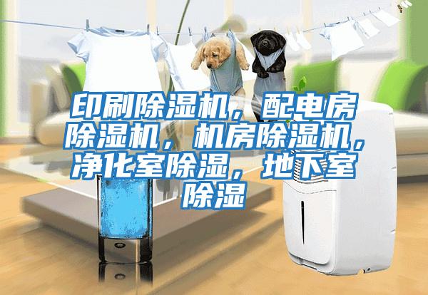 印刷除濕機，配電房除濕機，機房除濕機，凈化室除濕，地下室除濕