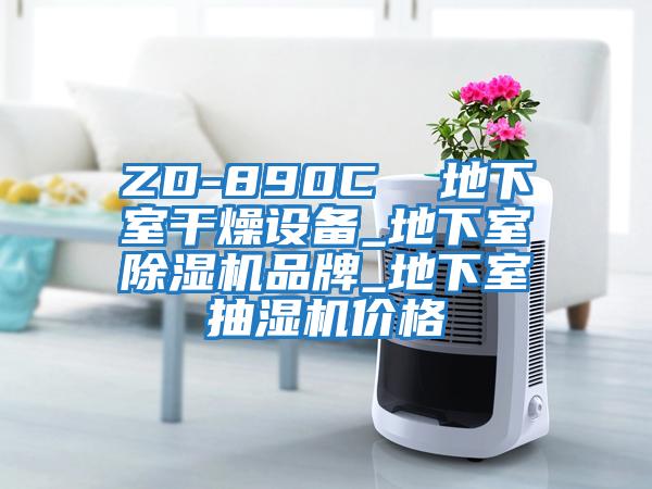 ZD-890C  地下室干燥設備_地下室除濕機品牌_地下室抽濕機價(jià)格