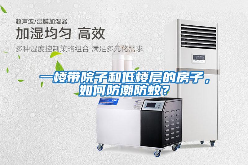 一樓帶院子和低樓層的房子，如何防潮防蚊？
