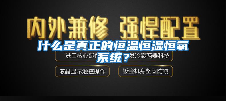 什么是真正的恒溫恒濕恒氧系統？