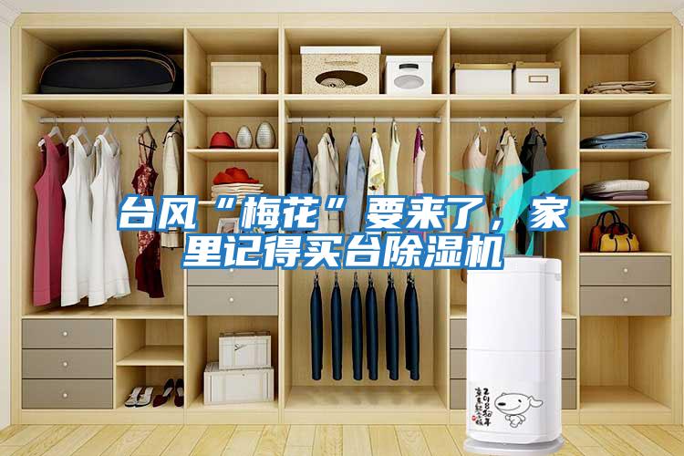 臺風(fēng)“梅花”要來(lái)了，家里記得買(mǎi)臺除濕機