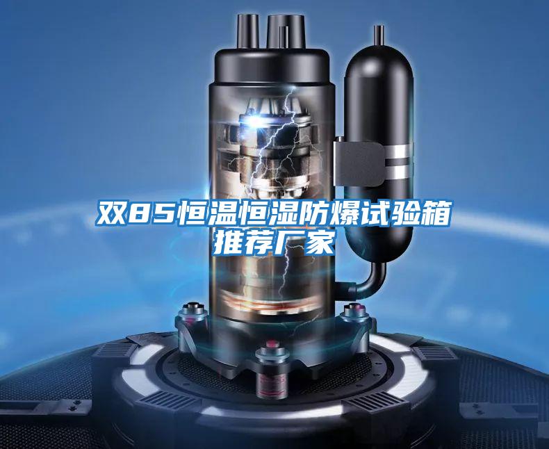 雙85恒溫恒濕防爆試驗箱推薦廠(chǎng)家