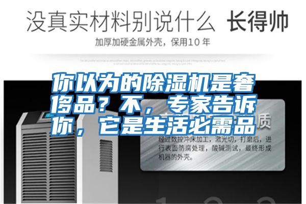 你以為的除濕機是奢侈品？不，專(zhuān)家告訴你，它是生活必需品