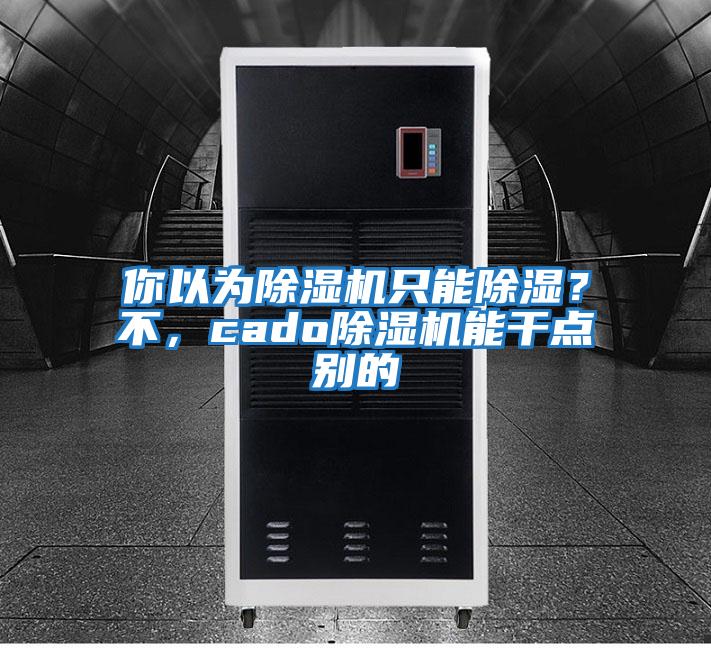 你以為除濕機只能除濕？不，cado除濕機能干點(diǎn)別的