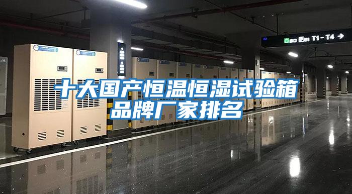 十大國產(chǎn)恒溫恒濕試驗箱品牌廠(chǎng)家排名