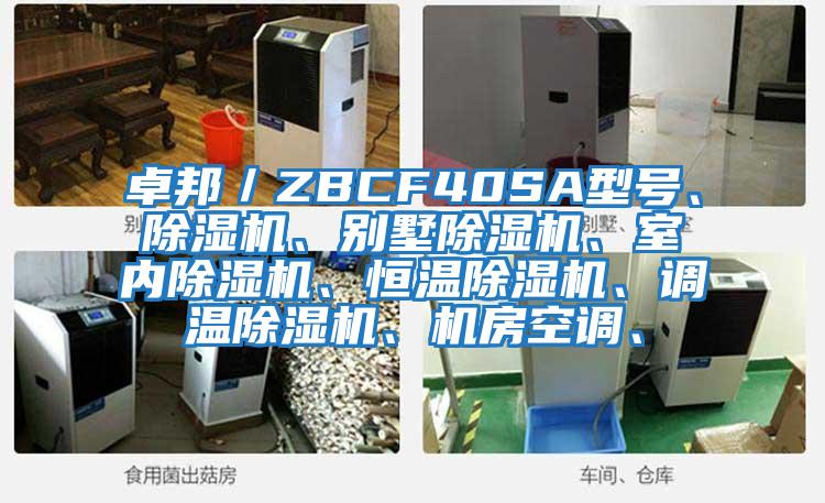 卓邦／ZBCF40SA型號、除濕機、別墅除濕機、室內除濕機、恒溫除濕機、調溫除濕機、機房空調、