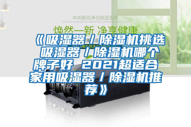 《吸濕器/除濕機挑選 吸濕器/除濕機哪個(gè)牌子好 2021超適合家用吸濕器/除濕機推薦》