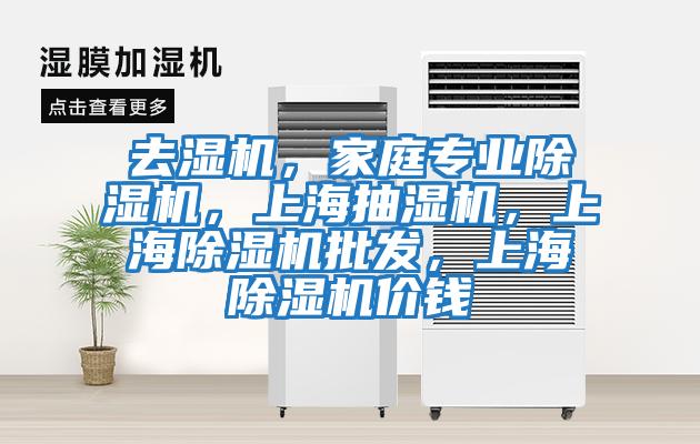 去濕機，家庭專(zhuān)業(yè)除濕機，上海抽濕機，上海除濕機批發(fā)，上海除濕機價(jià)錢(qián)