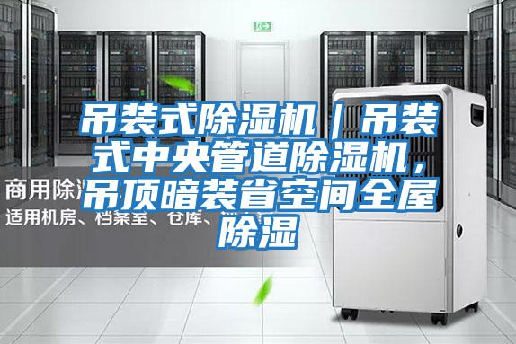 吊裝式除濕機｜吊裝式中央管道除濕機，吊頂暗裝省空間全屋除濕