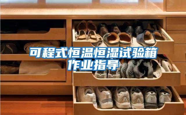 可程式恒溫恒濕試驗箱作業(yè)指導