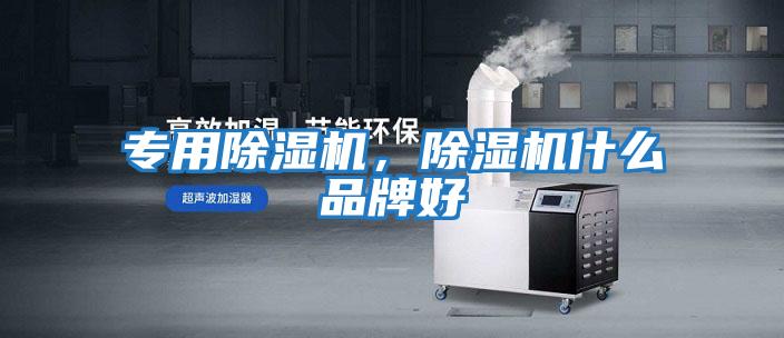 專(zhuān)用除濕機，除濕機什么品牌好