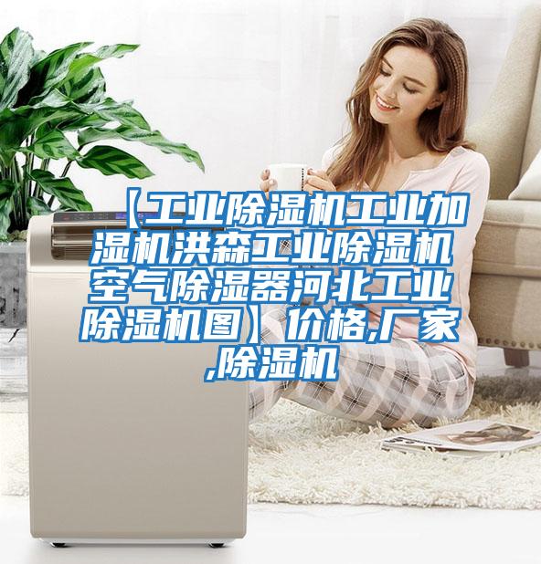 【工業(yè)除濕機工業(yè)加濕機洪森工業(yè)除濕機空氣除濕器河北工業(yè)除濕機圖】?jì)r(jià)格,廠(chǎng)家,除濕機