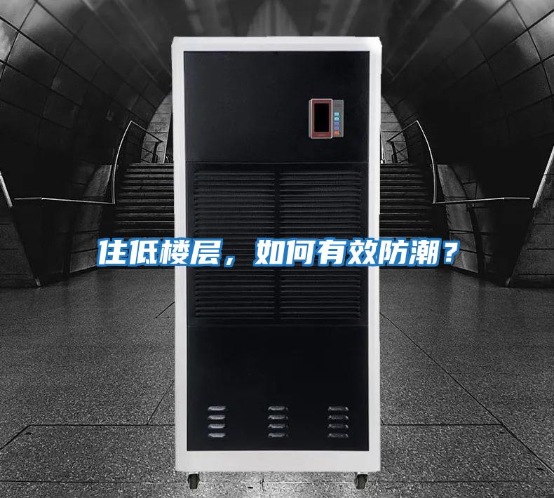 住低樓層，如何有效防潮？